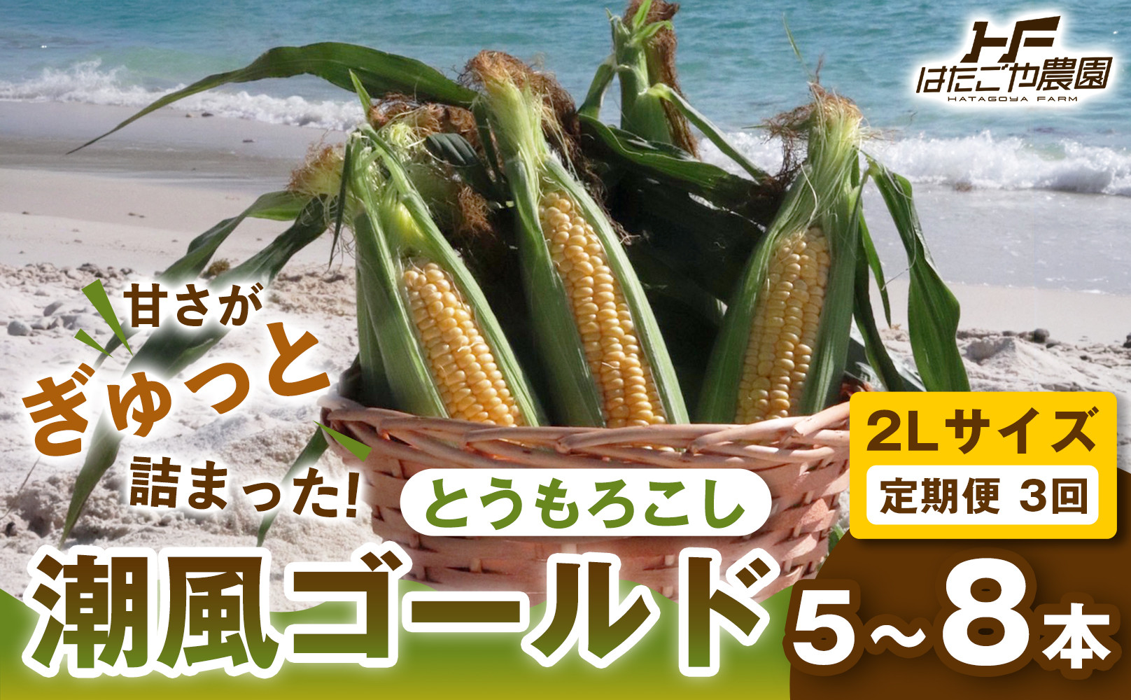 ［2027年発送 先行予約 夏の味覚］［定期便・全3回］潮風ゴールド 2Lサイズ 5～8本 1セット とうもろこし トウモロコシ ゴールドラッシュ 黄色 スイートコーン 茹でとうもろこし BBQ 焼き肉 白浜町