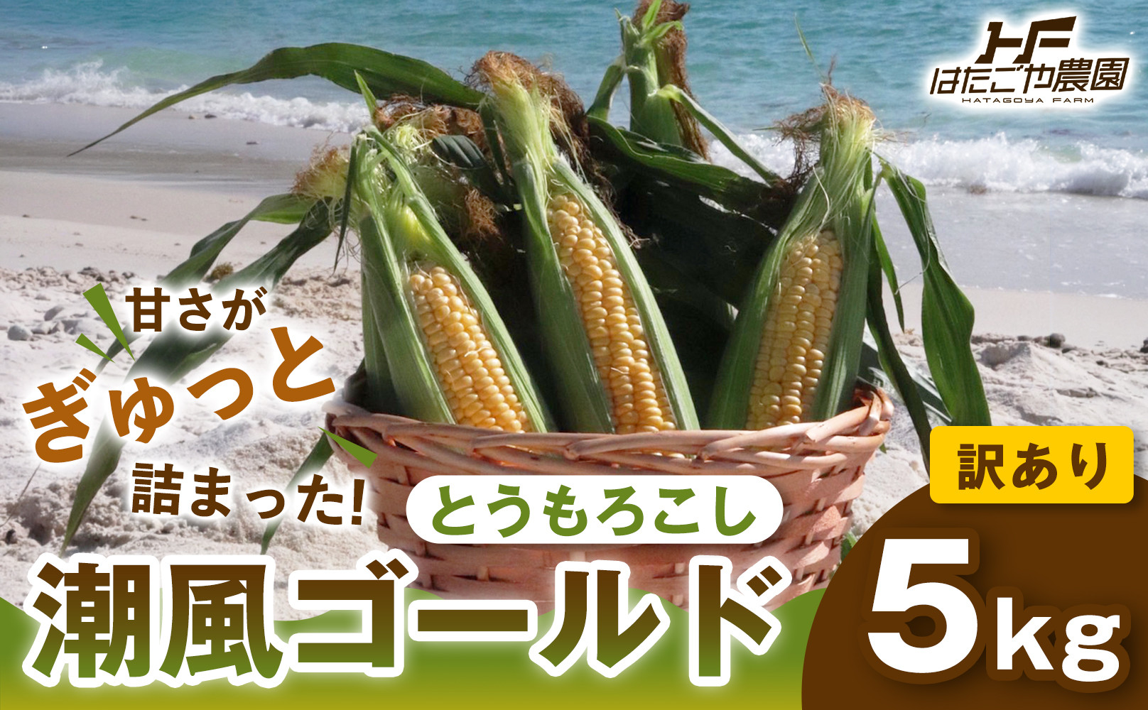 ［2027年発送 先行予約 夏の味覚］［おいしさそのまま］訳アリ 潮風ゴールド 5kg 1セット とうもろこし トウモロコシ ゴールドラッシュ 黄色 潮風ゴールド スイートコーン 茹でとうもろこし BBQ 焼き肉 白浜町