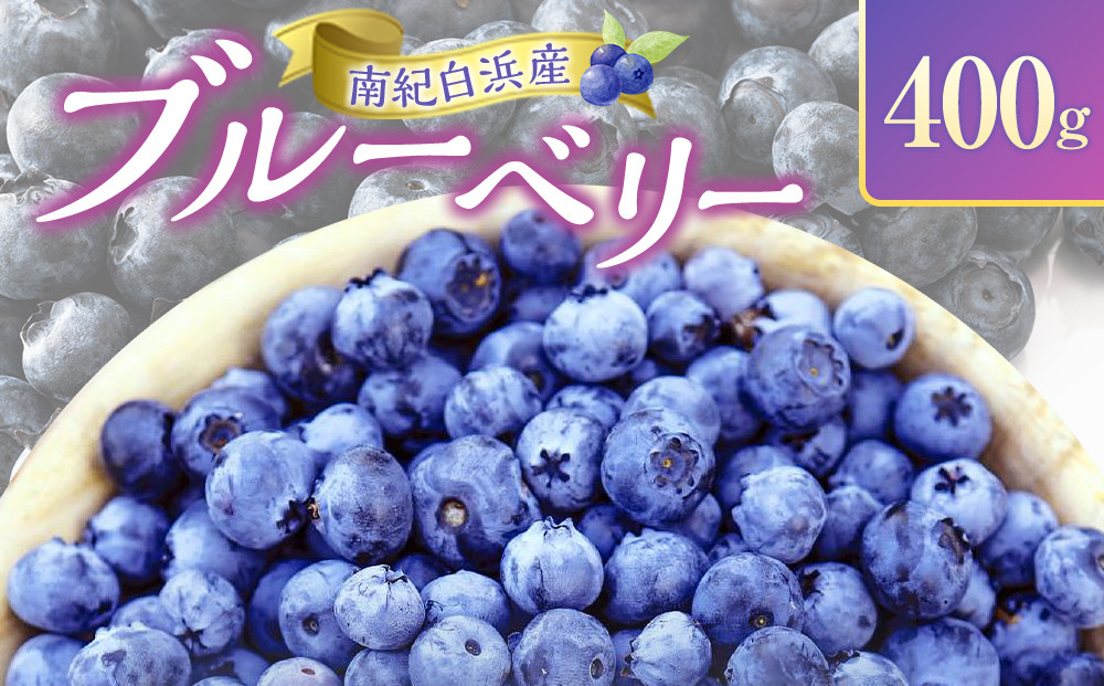 南紀白浜産ブルーベリー 400g