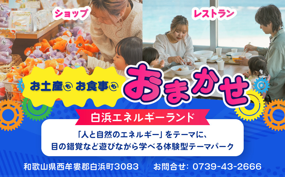 白浜エネルギーランド 大人（高校生以上）＋小中学生ペア 入館券