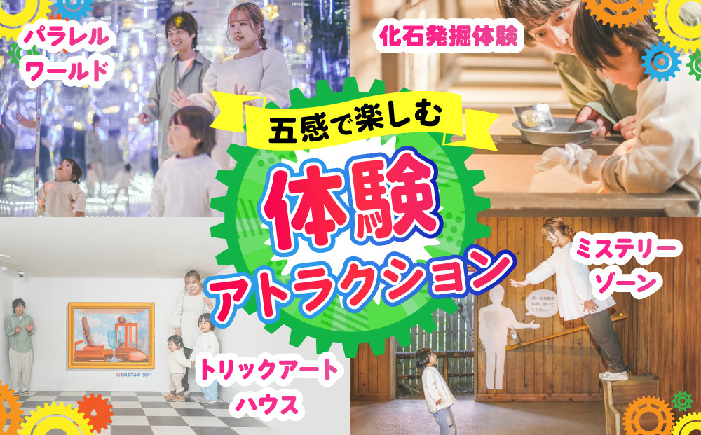 白浜エネルギーランド 大人（高校生以上）入館券 1名