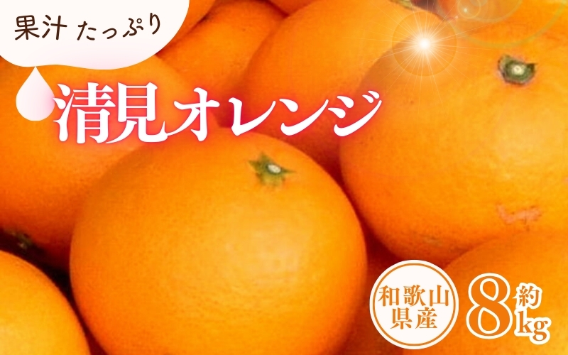 清見オレンジ約8kg/果実サイズおまかせ　※2027年2月中旬～2027年4月下旬頃に発送予定　紀伊国屋文左衛門本舗【ntbt401C】