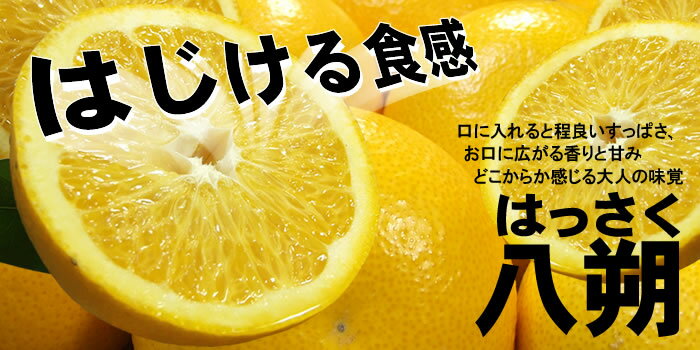 八朔(はっさく)約5kg サイズおまかせ　紀伊国屋文左衛門本舗　※2027年1月下旬～2027年4月上旬頃に発送予定【ntbt410B】