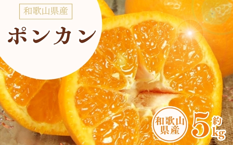 ポンカン 約5kg/サイズおまかせ　※2027年1月下旬～2027年2月下旬頃に順次発送予定(お届け日指定不可)　紀伊国屋文左衛門本舗　【ntbt451B】