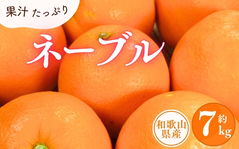 ネーブル 約7kg/サイズおまかせ　※2027年1月中旬～2027年2月中旬頃に順次発送予定(お届け日指定不可)　紀伊国屋文左衛門本舗　【ntbt430C】