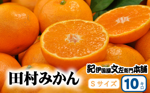 田村みかん 特選ギフト品 10kg【Sサイズ】赤秀/紀州和歌山有田郡湯浅町田村地区産 ◆2026年11月下旬～2027年1月中旬頃に順次発送予定(お届け日指定不可)　紀伊国屋文左衛門本舗【ntbt304C】