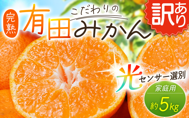 【訳あり】農家直送 有田みかん 約5kg ご家庭用 サイズ混合 ※2026年11月～2027年1月より順次発送予定（お届け日指定不可）※北海道・沖縄・離島への配送不可 訳ありみかん みかん ミカン 蜜柑 柑橘 フルーツ 果物 くだもの 温州みかんサイズ混合 訳ありみかん 温州みかん 有機質肥料100% ふるさと納税 柑橘 有田 産地直送【nuk161E】