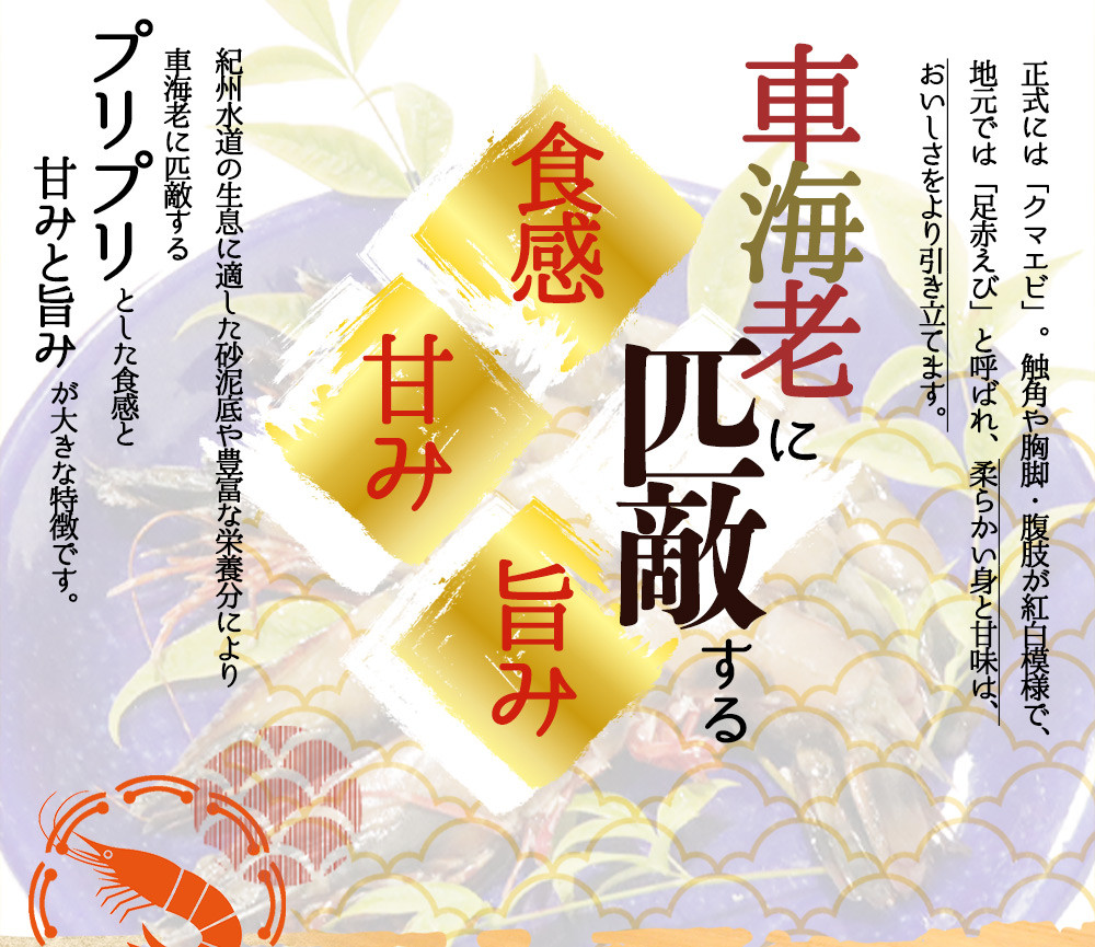 紀州和歌山産天然足赤えび540g×2箱（270g×4パック）化粧箱入 ※2026年12月上旬～2027年2月上旬頃順次発送予定（お届け日指定不可）／海老 エビ えび クマエビ 天然【uot773B】
