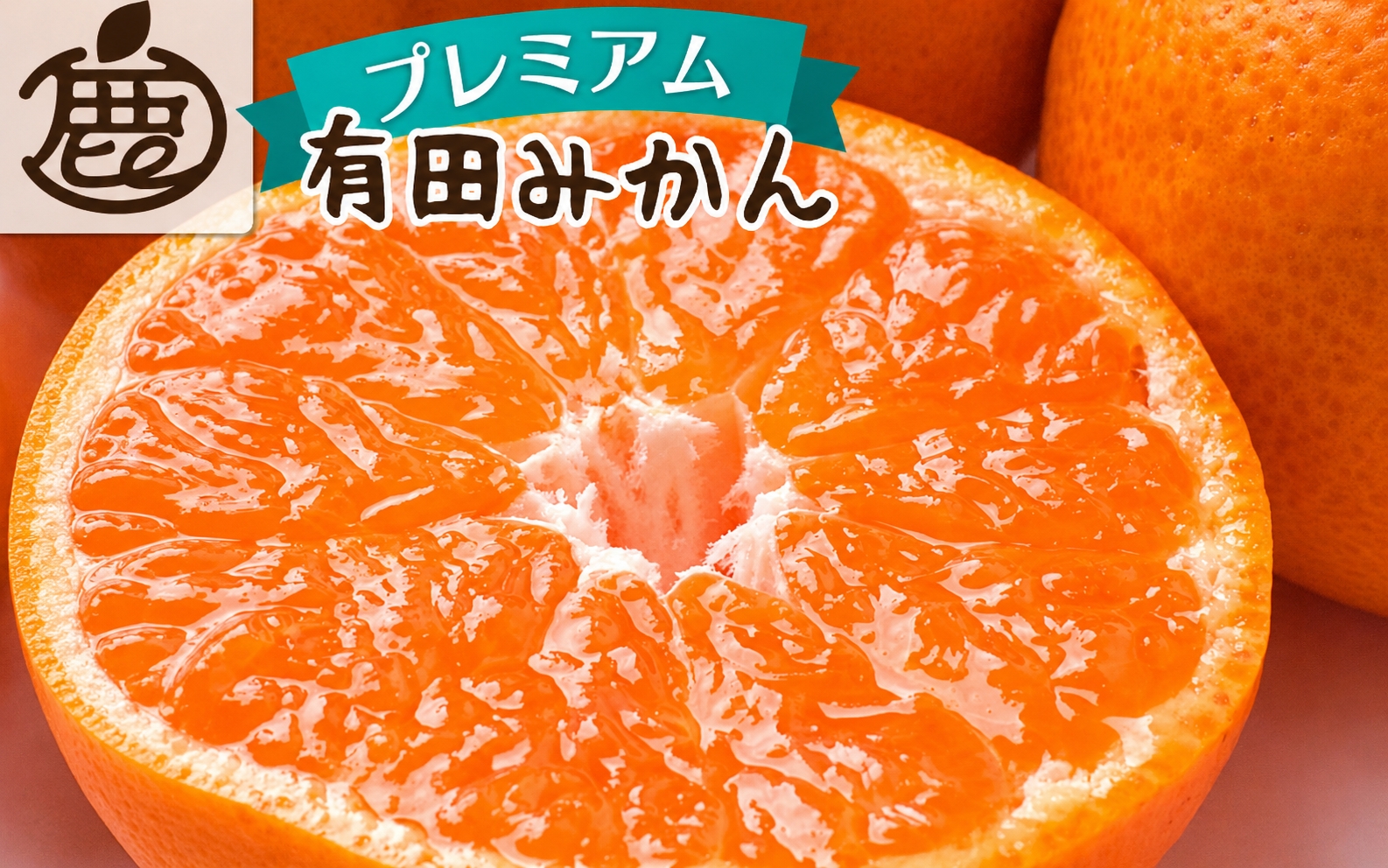 プレミアム 有田みかん（完熟）5kg+250g（傷み補償分）＜11月より順次発送予定＞【ikd114D】