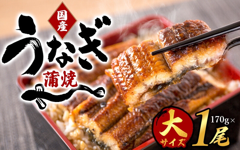 【国産 大型サイズ】ふっくら柔らか国産うなぎ蒲焼き 約２人前 化粧箱入 うなぎ 国産 特大【uot714B】