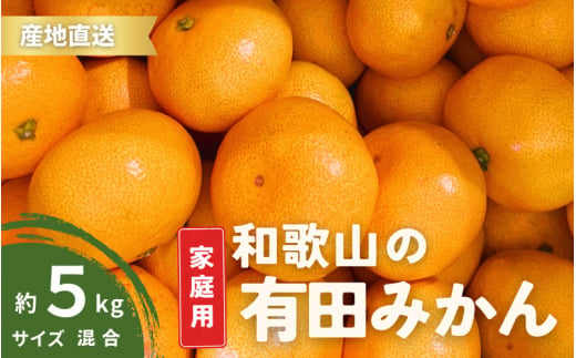 【11月発送】家庭用 有田みかん 和歌山 訳あり わけあり S～Lサイズ 大きさお任せ 5kg / みかん フルーツ 果物 くだもの 有田みかん 蜜柑 柑橘【ktn007A-11】