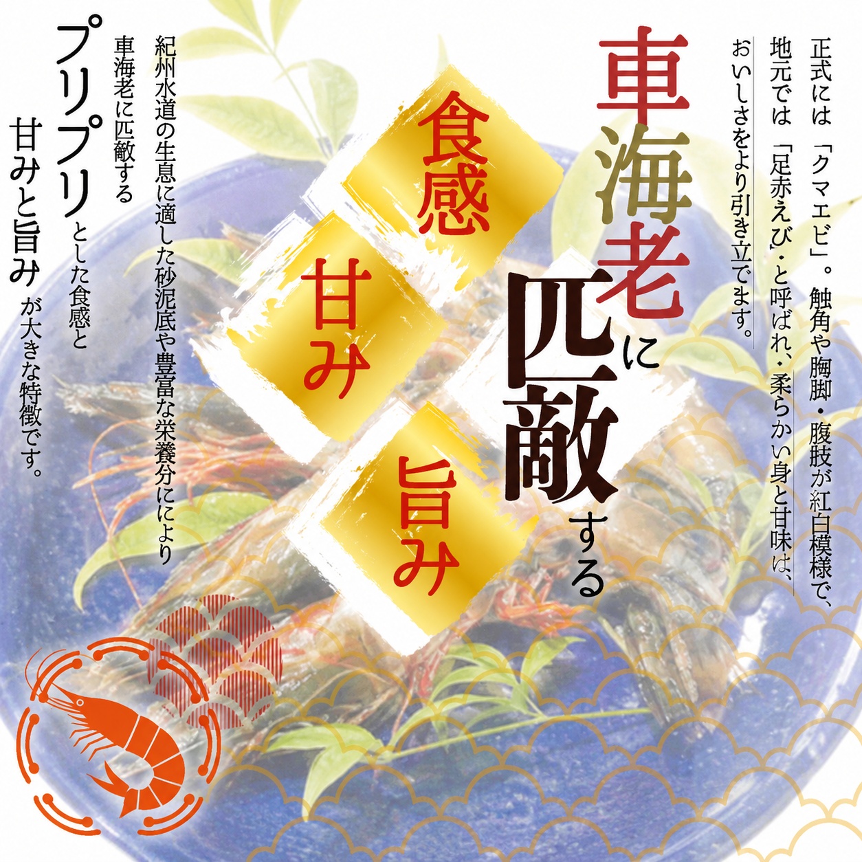 紀州和歌山産天然足赤えび540g（270g×2パック）化粧箱入 ※2026年12月上旬～2027年2月上旬頃順次発送予定（お届け日指定不可）／海老 エビ えび クマエビ 足赤 天然 おかず【uot772B】