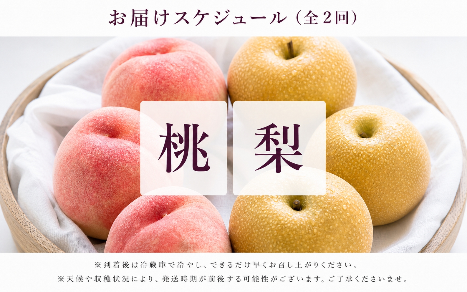 【全2回】かつらぎ町のフルーツ定期便ミニ（桃・梨）【8月・9月】 【tkb427】