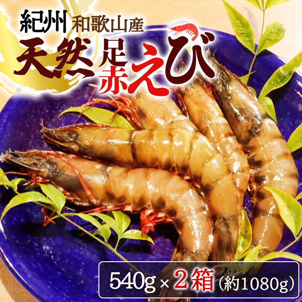 紀州和歌山産天然足赤えび540g×2箱（270g×4パック）化粧箱入 ※2026年12月上旬～2027年2月上旬頃順次発送予定（お届け日指定不可）／海老 エビ えび クマエビ 天然【uot773B】