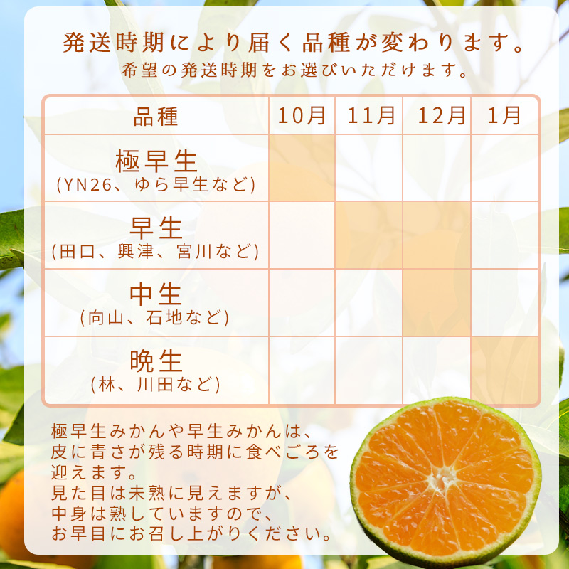 【11月発送】家庭用 有田みかん 和歌山 訳あり わけあり S～Lサイズ 大きさお任せ 5kg / みかん フルーツ 果物 くだもの 有田みかん 蜜柑 柑橘【ktn007A-11】