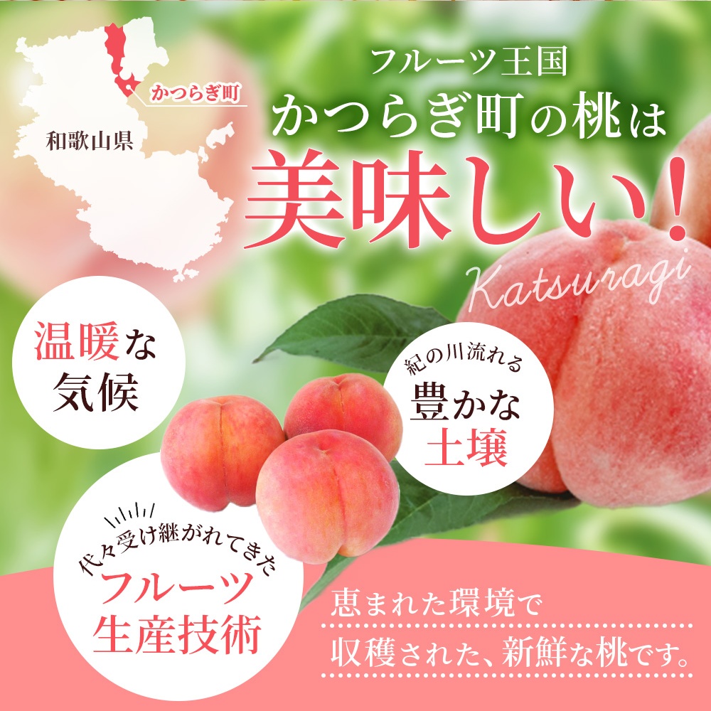 【先行予約】【厳選】あふれる果汁で口いっぱい！ 和歌山県産 桃 約2kg（6個～8個） 【2027年6月20日頃～順次発送予定】（お届け日指定不可）/ 和歌山 桃 モモ フルーツ もも 白桃 果物 くだもの【kgr001B】