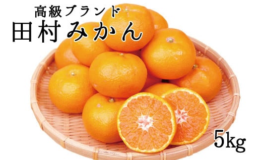 高級ブランド田村みかん　5kg【予約】※2026年11月下旬～2027年1月下旬頃に順次発送予定(お届け日指定不可)【uot504B】