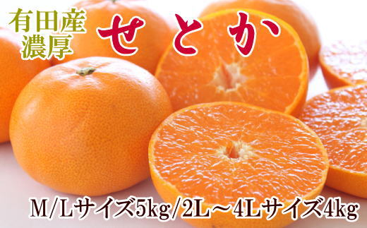  一度は食べていただきたい「有田産のせとか」約4～5kg（サイズおまかせ）※2027年2月中旬～2027年3月上旬頃に順次発送【tecj1024】 