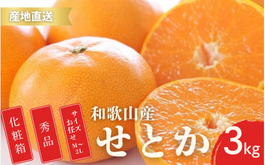 【先行予約】秀品 せとか 和歌山 有田 化粧箱 M～4Lサイズ 大きさお任せ 3kg【2月上旬～3月下旬頃に順次発送】/ みかん フルーツ 果物 くだもの 蜜柑 柑橘【ktn013A】