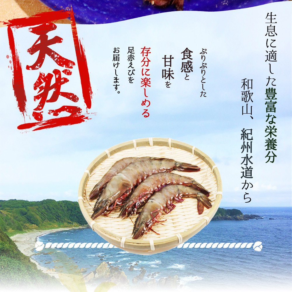 紀州和歌山産天然足赤えび540g×2箱（270g×4パック）化粧箱入 ※2026年12月上旬～2027年2月上旬頃順次発送予定（お届け日指定不可）／海老 エビ えび クマエビ 天然【uot773B】