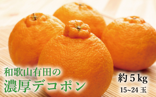 【大人気】和歌山有田の濃厚デコポン　15～24玉(約5kg)　※2027年1月下旬～3月下旬頃に順次発送予定【ard005C】