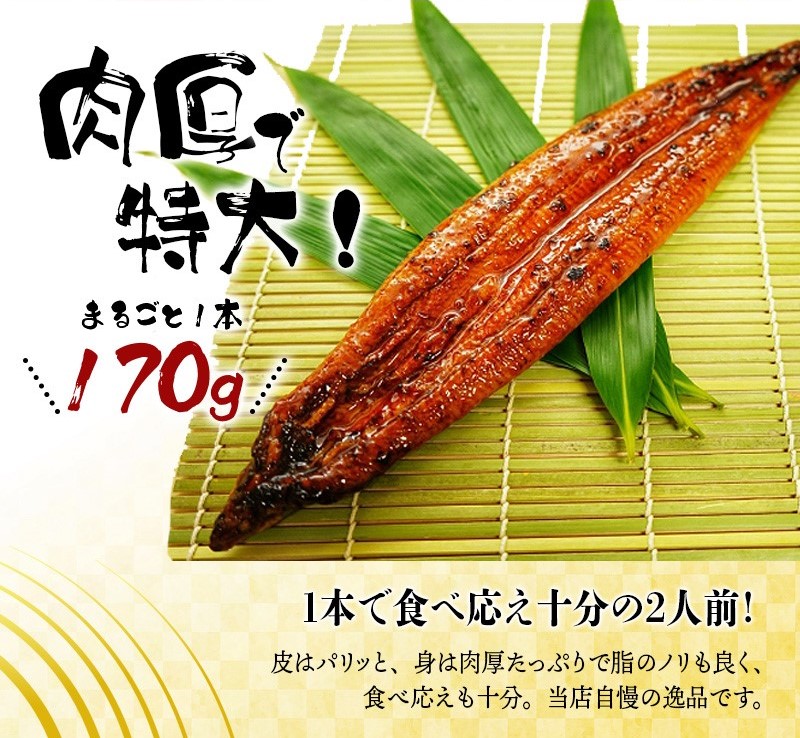 【国産 大型サイズ】ふっくら柔らか国産うなぎ蒲焼き 約２人前 化粧箱入 うなぎ 国産 特大【uot714B】