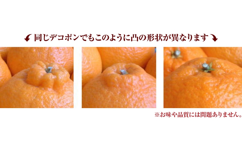 デコ不知火（デコポン） 約5kg/サイズおまかせ　※2027年2月上旬～2027年4月上旬頃に順次発送予定(お届け日指定不可)　紀伊国屋文左衛門本舗　【ntbt420A】
