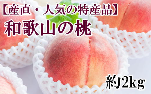 【定期便全3回】産直・和歌山フルーツ定期便（桃・ピオーネ・有田みかん）【tkb413】