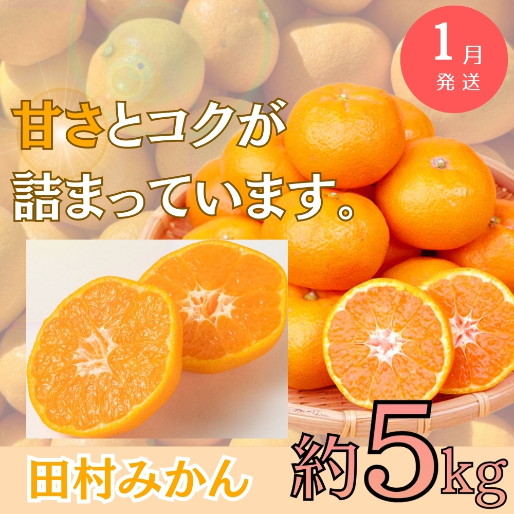 【全3回定期便】旬のフルーツ定期便 【田村みかん /  紀州デコ(不知火) /  桃】 ～和歌山の旬をお届け～ / みかん ミカン 温州みかん 有田みかん 不知火 デコポン 桃 もも モモ 柑橘 フルーツ 果物 くだもの 旬 人気 甘い 定期便