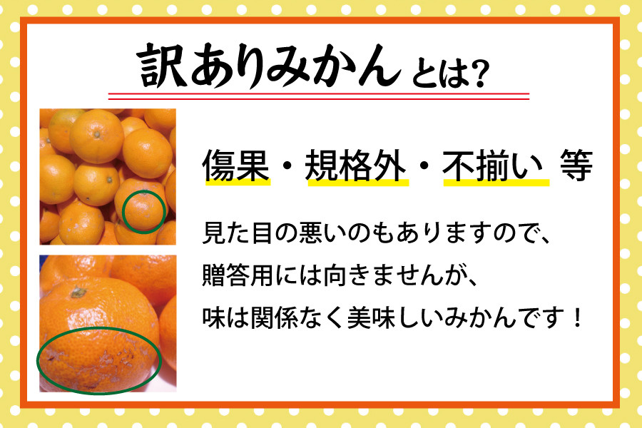 【訳あり】農家直送 有田みかん 約7.5kg ご家庭用 サイズ混合 ※2026年11月～2027年1月に順次発送予定（お届け日指定不可）※北海道・沖縄・離島への配送不可 訳ありみかん みかん ミカン 蜜柑 柑橘 フルーツ 果物 くだもの 温州みかんサイズ混合 訳ありみかん 温州みかん 有機質肥料100% ふるさと納税 柑橘 有田 産地直送【nuk157F】