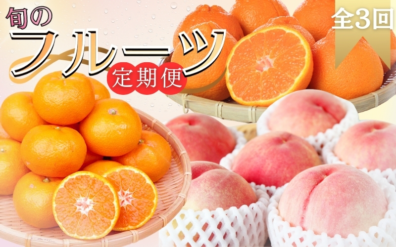 【全3回定期便】旬のフルーツ定期便 【田村みかん /  紀州デコ(不知火) /  桃】 ～和歌山の旬をお届け～ / みかん ミカン 温州みかん 有田みかん 不知火 デコポン 桃 もも モモ 柑橘 フルーツ 果物 くだもの 旬 人気 甘い 定期便