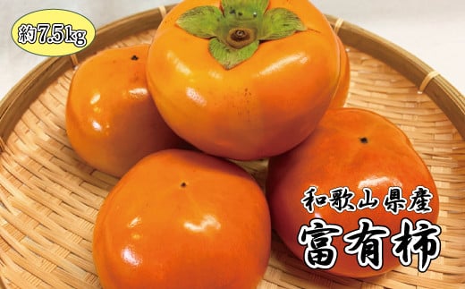 和歌山秋の味覚　富有柿　約7.5kg【uot702B】