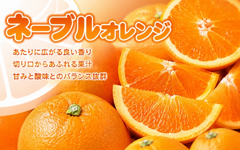 ネーブル 約7kg/サイズおまかせ　※2027年1月中旬～2027年2月中旬頃に順次発送予定(お届け日指定不可)　紀伊国屋文左衛門本舗　【ntbt430C】