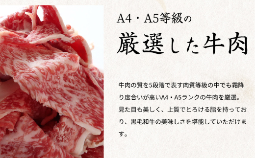 熊野牛A4以上ヒレシャトーブリアンステーキ200g(100g×2枚)＆霜降り赤身こま切れ300g 【uot745A】