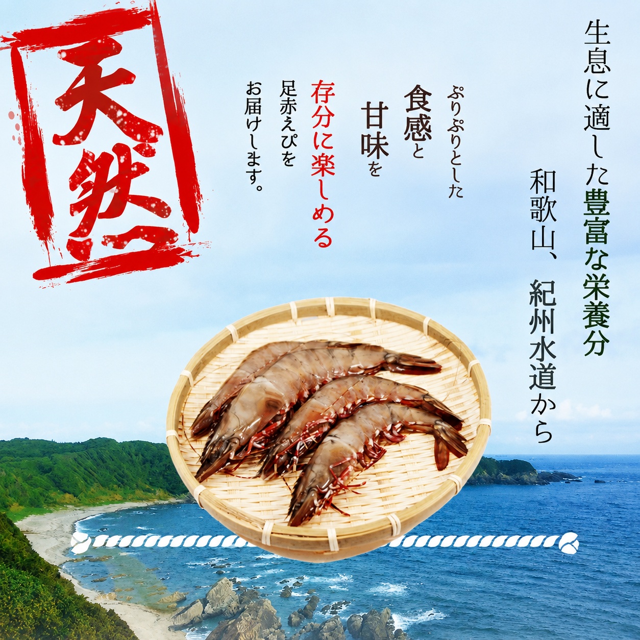 紀州和歌山産天然足赤えび540g（270g×2パック）化粧箱入 ※2026年12月上旬～2027年2月上旬頃順次発送予定（お届け日指定不可）／海老 エビ えび クマエビ 足赤 天然 おかず【uot772B】