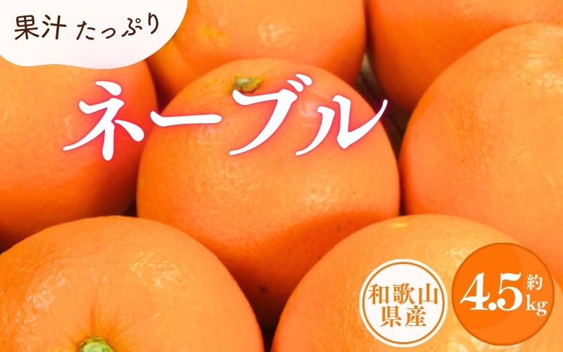 ネーブル 約4.5kg/サイズおまかせ　※2027年1月中旬～2027年2月中旬頃に順次発送予定(お届け日指定不可)　紀伊国屋文左衛門本舗　【ntbt431D】