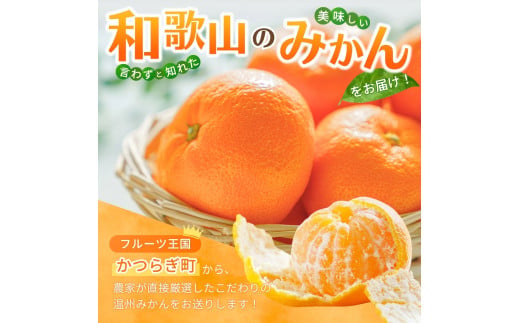 和歌山県産温州みかん　秀品　約5kg（約40個～60個入）【先行予約】【2026年11月上旬頃から12月中旬頃順次発送予定】 / みかん フルーツ 果物 柑橘 和歌山【kgr032A】