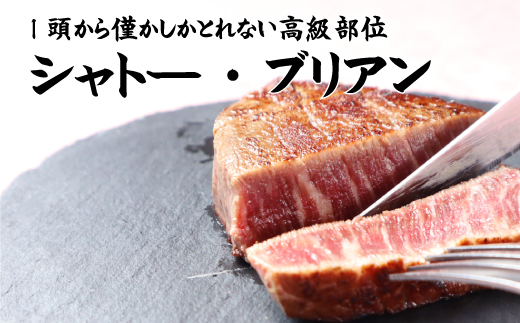 熊野牛A4以上ヒレシャトーブリアンステーキ200g(100g×2枚)＆霜降り赤身こま切れ300g 【uot745A】