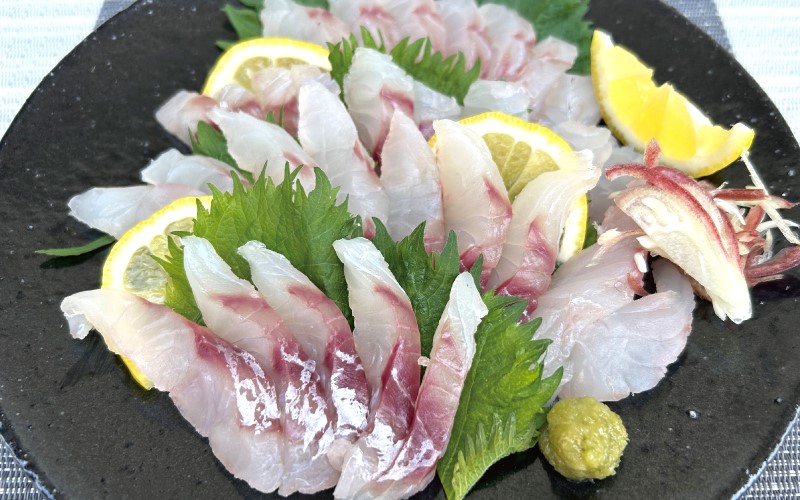 ＼数量限定／ クロムツの煮付用＋刺身用セット 【冷蔵便】 くろむつ 黒睦 ムツ 煮つけ 煮付 煮付け 刺身 お刺身 国産 太地町【tgk110】