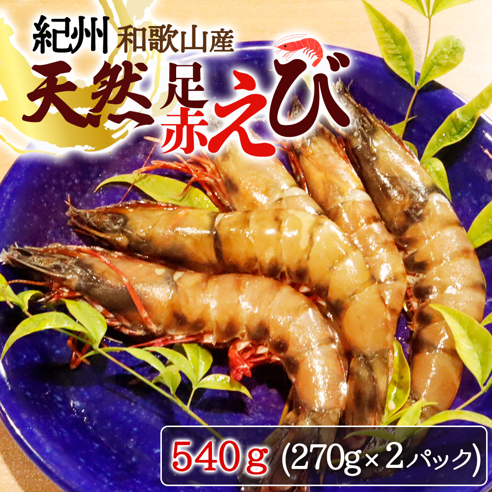 紀州和歌山産天然足赤えび540g（270g×2パック）化粧箱入 ※2026年12月上旬～2027年2月上旬頃順次発送予定（お届け日指定不可）／海老 エビ えび クマエビ 足赤 天然 おかず【uot772B】