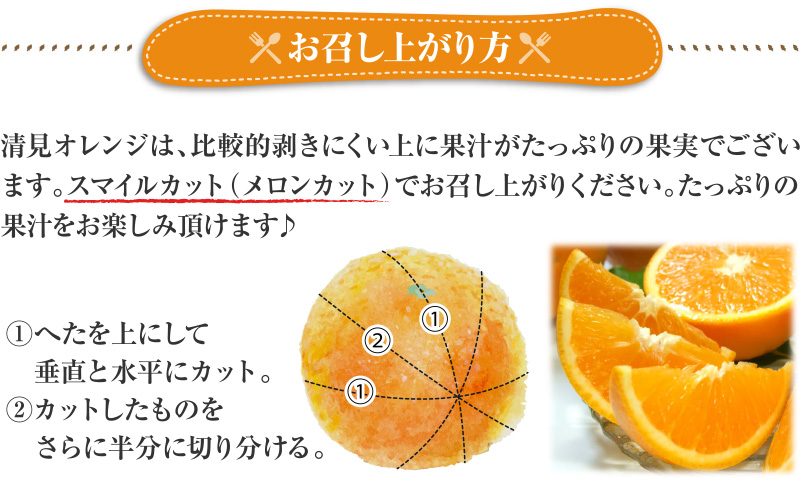 清見オレンジ約5kg/果実サイズおまかせ ※2027年2月中旬～2027年4月下旬頃に発送予定　紀伊国屋文左衛門本舗【ntbt400B】