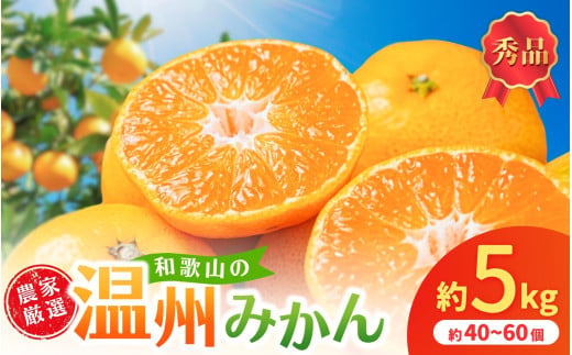 和歌山県産温州みかん　秀品　約5kg（約40個～60個入）【先行予約】【2026年11月上旬頃から12月中旬頃順次発送予定】 / みかん フルーツ 果物 柑橘 和歌山【kgr032A】