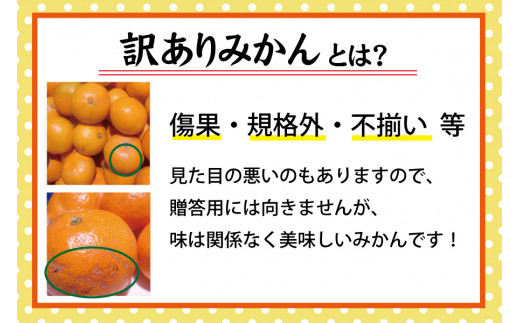 【訳あり】農家直送 有田みかん 約5kg ご家庭用 サイズ混合 ※2026年11月～2027年1月より順次発送予定（お届け日指定不可）※北海道・沖縄・離島への配送不可 訳ありみかん みかん ミカン 蜜柑 柑橘 フルーツ 果物 くだもの 温州みかんサイズ混合 訳ありみかん 温州みかん 有機質肥料100% ふるさと納税 柑橘 有田 産地直送【nuk161E】