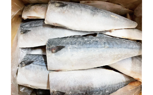 【ご家庭用】大容量！塩さばフィレ 1kg さば サバ 鯖 フィレ 切り身 切身 魚 海鮮 焼き魚 おかず【uot763C】
