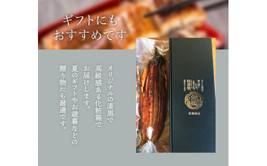 大型サイズ　ふっくら柔らか国産うなぎ蒲焼き ３尾 うなぎ 国産 特大【uot303B-3】