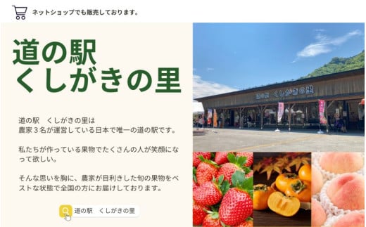 【先行予約】【数量わずか】樹上完熟しらぬい（不知火） 5個~8個 秀品 2027年2月末～2027年3月末頃に順次発送予定（お届け日指定不可）/ 和歌山 みかん しらぬい 不知火 フルーツ 柑橘 蜜柑 果物 くだもの【kgr014】
