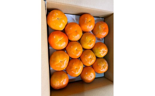 和歌山秋の味覚　富有柿　約7.5kg【uot702B】