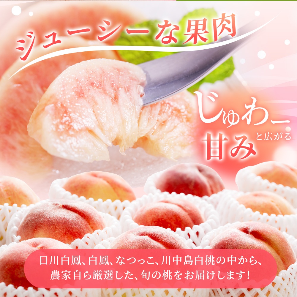 【先行予約】【厳選】あふれる果汁で口いっぱい！ 和歌山県産 桃 約2kg（6個～8個） 【2027年6月20日頃～順次発送予定】（お届け日指定不可）/ 和歌山 桃 モモ フルーツ もも 白桃 果物 くだもの【kgr001B】