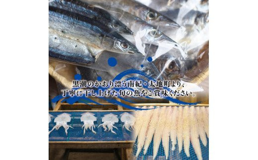干物セット 満足の内容量！さんまの開き10枚セット ／ ひもの 詰め合わせ 干物 さんま サンマ