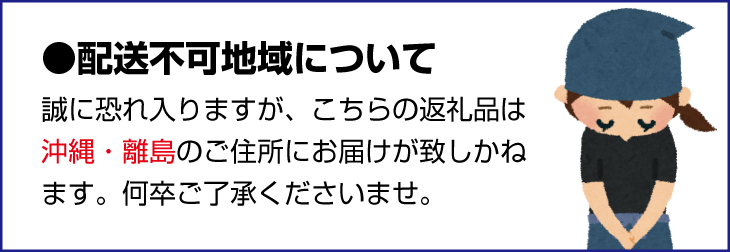 【中挽き】店主おまかせ 挽き立てコーヒー豆3種類セット(100g×3種類）